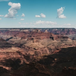 Celebrity Style
